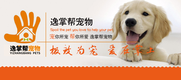 寵物服務(wù)