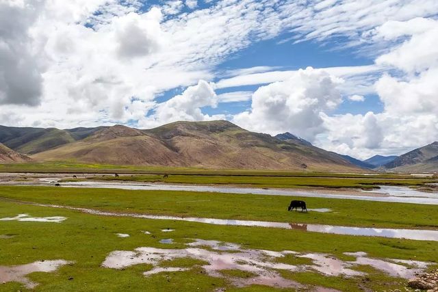 乾港集團(tuán)高層草原自駕游 乾港集團(tuán)高層草原自駕游